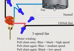 Ceiling Fan Pull Chain Wiring Diagram Ceiling Fan Pull Chain Light Switch Wiring Diagram Fuse