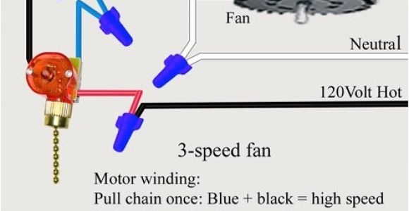 Ceiling Fan Pull Chain Wiring Diagram Ceiling Fan Pull Chain Light Switch Wiring Diagram Fuse