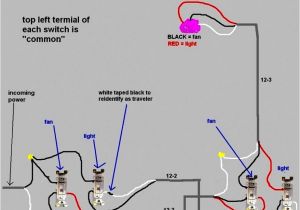 Ceiling Fan Pull Chain Wiring Diagram Ceiling Fan Pull Chain Light Switch Wiring Diagram