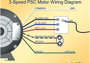 Ceiling Fan Wiring Diagram 3 Speed 3 Speed Ceiling Fan Switch Siphro org