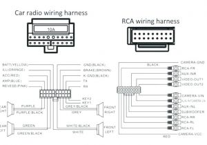 Ceiling Fan Wiring Diagram Red Wire Wiring A Ceiling Fan with 4 Wires Policecommunity Info Ceiling Fan Wiring Diagram Red Wire Wiring A Ceiling Fan with 4 Wires Policecommunity Info