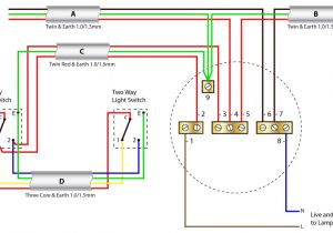 Ceiling Rose Wiring Diagram Wiring Diagram Two Light Pendant Premium Wiring Diagram Blog