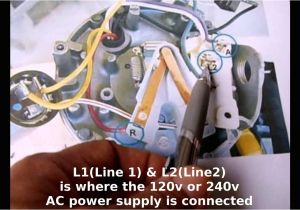 Century 1081 Pool Pump Wiring Diagram Pool Motor Wiring Diagram Wiring Diagram More