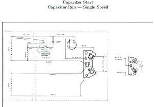 Century 3 4 Hp Motor Wiring Diagram Pool Motor Wiring Diagram Wiring Diagram Inside