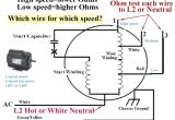 Century Ac Motor Wiring Diagram 115 230 Volts 115 Volt Ac Motor Wiring Wiring Diagram Technic