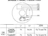 Century Ac Motor Wiring Diagram 115 230 Volts Pool Pump Timer Wiring Diagram A Super Simple for 1 On D