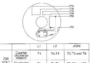 Century Ac Motor Wiring Diagram 115 230 Volts Pool Pump Timer Wiring Diagram A Super Simple for 1 On D