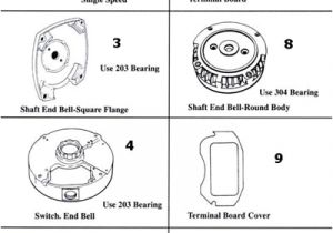 Century Ac Motor Wiring Diagram Magnetek Century Magnetek Century Motor Parts Replacement Part