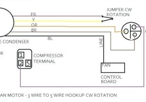 Century Condenser Fan Motor Wiring Diagram Ac Condenser Wiring Diagram Wiring Diagram Technic