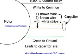 Century Condenser Fan Motor Wiring Diagram Fan Motor Capacitor Wiring Diagram Wiring Diagram Blog Century Condenser Fan Motor Wiring Diagram Fan Motor Capacitor Wiring Diagram Wiring Diagram Blog