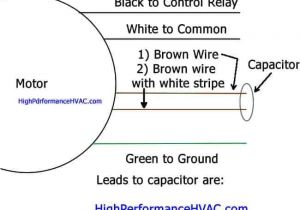 Century Condenser Fan Motor Wiring Diagram Fan Motor Capacitor Wiring Diagram Wiring Diagram Blog