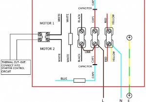 Century Electric Motor Wiring Diagram Weg Motor Starter Wiring Diagram Wiring Diagram Technic
