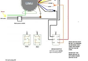 Century Electric Motor Wiring Diagram Weg Motors Wiring Diagram Wiring Diagram Centre