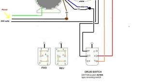Century Electric Motors Wiring Diagram Century Ac Motor Wiring Wiring Diagram Ops