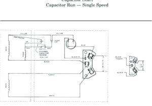 Century Pump Motor Wiring Diagram Stark Pool Pump Wiring Diagram Century Pump Motor Wiring Diagram Stark Pool Pump Wiring Diagram
