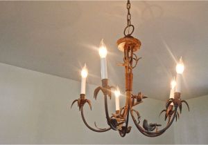 Chandelier Wiring Diagram Candelabra Light socket Wiring Diagram Wiring Library Chandelier Wiring Diagram Candelabra Light socket Wiring Diagram Wiring Library