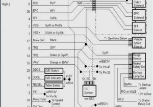 Chassis Wiring Diagram 57 Chevy Ignition Switch Wiring Diagram Wiring Diagrams Chassis Wiring Diagram 57 Chevy Ignition Switch Wiring Diagram Wiring Diagrams
