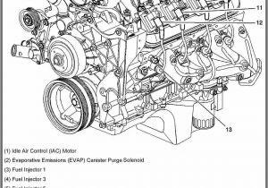 Chevy 350 Engine Wiring Diagram Chevy 350 Tbi Diagram Autos Post Wiring Diagram Schematic