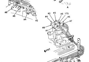 Chevy Spark Plug Wire Diagram 1993 Chevy Van 5 7 Spark Plug Wiring Diagram Chevy Spark Plug Wire Diagram 1993 Chevy Van 5 7 Spark Plug Wiring Diagram