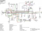 Chinese 125cc atv Wiring Diagram 125cc Tao Wiring Diagram Electrical Wiring Diagram
