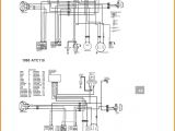 Chinese 125cc atv Wiring Diagram Tao 125 atv Wiring Diagram Schema Wiring Diagram