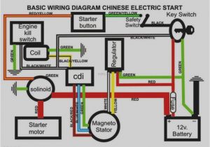 Chinese 125cc atv Wiring Diagram Wiring Diagram for 125cc atv Wiring Diagrams Value