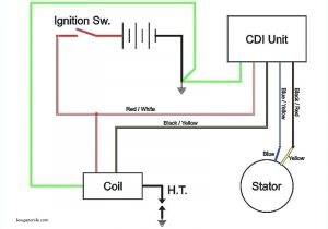 Chinese 4 Wheeler Wiring Diagram Chinese Cdi Wiring Diagram for Wiring Diagram Img Chinese 4 Wheeler Wiring Diagram Chinese Cdi Wiring Diagram for Wiring Diagram Img