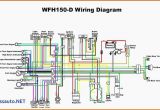 Chinese atv Wiring Diagram 110cc China Chopper 49cc Wiring Diagram Wiring Diagram Perfomance
