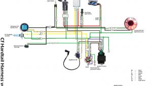 Chinese atv Wiring Diagram Wiring Diagram for 125cc atv Wiring Diagram Inside