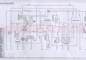 Chinese atv Wiring Harness Diagram 110cc Wire Harness Diagram Wedocable Auto Diagram Database