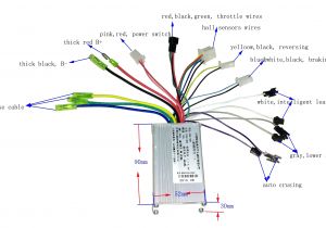 Chinese Electric Scooter Wiring Diagram Xm 3000 Electric Scooter Wiring Diagram Wiring Diagram