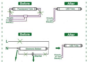 Circline Ballast Wiring Diagram 8 Ft Fluorescent Light Ballast Wiring Wiring Diagram Id