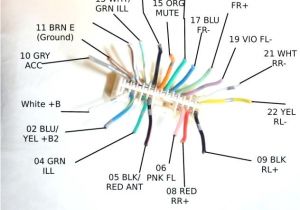 Clarion Max385vd Wiring Diagram Marine Clarion Wiring Diagram thefitness Co