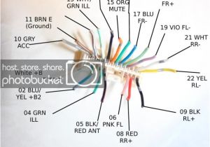 Clarion Xmd3 Wiring Diagram Clarion Xmd3 Marine Stereo Wiring Diagram Wiring Diagram Rules