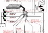 Clifford Arrow 3 Wiring Diagram Clifford Wiring Diagram Wiring Diagram