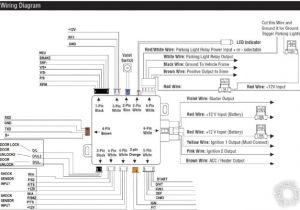 Clifford Arrow 3 Wiring Diagram Clifford Wiring Diagram Wiring Diagram