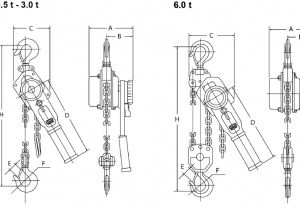 Cm Hoist Wiring Diagram Rema Select 2 Od Ratchet Hoist Od is with Overload Device