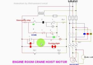 Cm Hoist Wiring Diagram Strong Way Electric Hoist Wiring Diagram Wiring Diagram