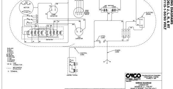Cm Lodestar Model R Wiring Diagram Budgit Electric Hoist Wiring Diagram Diagram Base Website