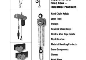 Cm Lodestar Model R Wiring Diagram Hand Chain Hoists Lever tools Trolleys Powered Chain Hoists