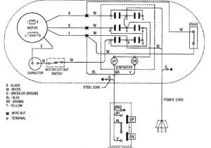 Cm Lodestar Wiring Diagram Coffing Hoist 1 2 ton Wiring Diagram G5200 Kubota Wiring
