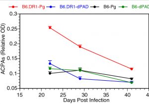 Cmc Pt 35 Wiring Diagram Generation Of Antibodies to Citrullinated Protein Antigens is Cmc Pt 35 Wiring Diagram Generation Of Antibodies to Citrullinated Protein Antigens is