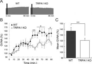 Cmc Pt 35 Wiring Diagram I Eudesmol An Oxygenized Sesquiterpene Stimulates Appetite Via Cmc Pt 35 Wiring Diagram I Eudesmol An Oxygenized Sesquiterpene Stimulates Appetite Via