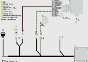 Cmos Camera Wiring Diagram Cmos Camera Wiring Diagram Wiring Diagrams
