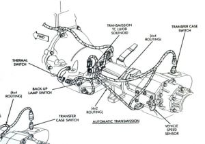 Coil Wiring Diagram Chevy 1992 Chevy Coil Wiring Diagram Wiring Diagram Center