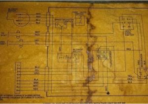 Coleman Presidential Furnace Wiring Diagram Presidential Furnace Wiring Diagram Caribbeancruiseship org