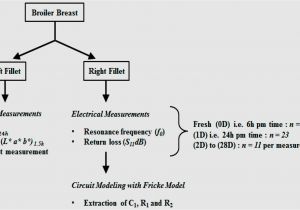 Combination Switch Wiring Diagram Leviton Double Switch Wiring Diagram Wiring Diagram Blog Combination Switch Wiring Diagram Leviton Double Switch Wiring Diagram Wiring Diagram Blog