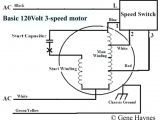 Commercial Electric 3 Speed Fan Switch Wiring Diagram Westinghouse 3 Speed Fan Switch Wiring Diagram Gallery