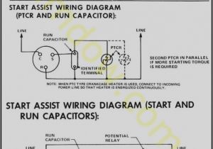 Compressor Current Relay Wiring Diagram Frostbite Diagram Nata Wiring Diagram