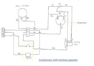 Compressor Wiring Diagram Single Phase Refrigeration Wiring Diagrams Starter Box Wiring Diagram Fascinating